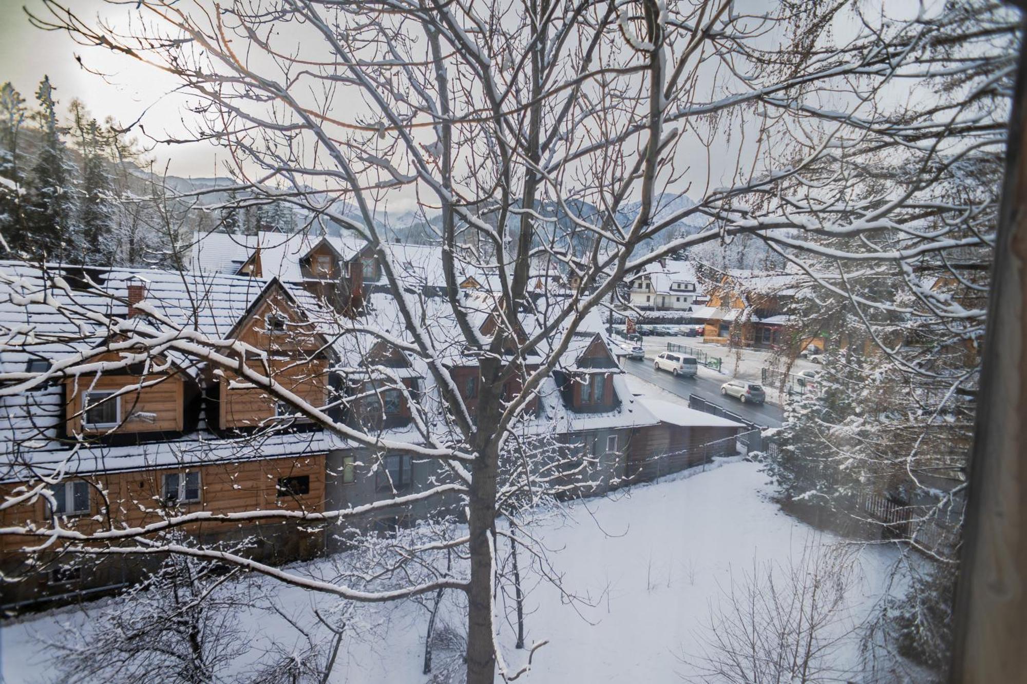 Willa Owca I Baran Zakopane Buitenkant foto